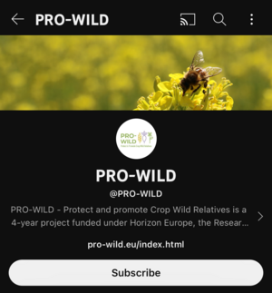 Screenshot of the PRO-WILD YouTube channel.