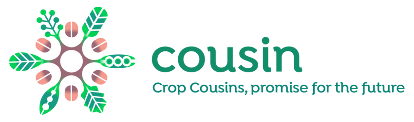 Logo of the COUSIN project.