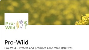 Screenshot of the Pro-Wild LinkedIn profile, displaying the header and the profile picture.