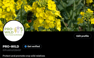 Screenshot of the Pro-Wild LinkedIn profile, displaying the header and the profile picture.